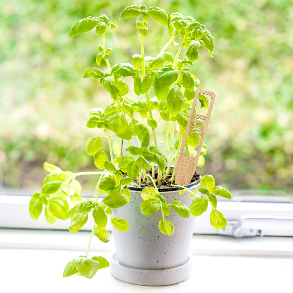 12 Pcs 6" x 1" Garden Herb Plant Labels,Bamboo Plant Tags,Elegant Bamboo Herb Signs for Plants - Image 7