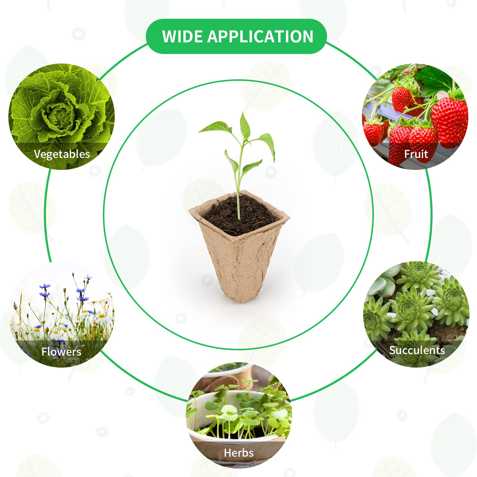 KINGLAKE 10 Pack 120 Cells Seed Starter Peat Pots,Seed Starter Trays,Square Germination Trays,Seed Starter Kit with Plant Labels for Starter Seeds - Image 3