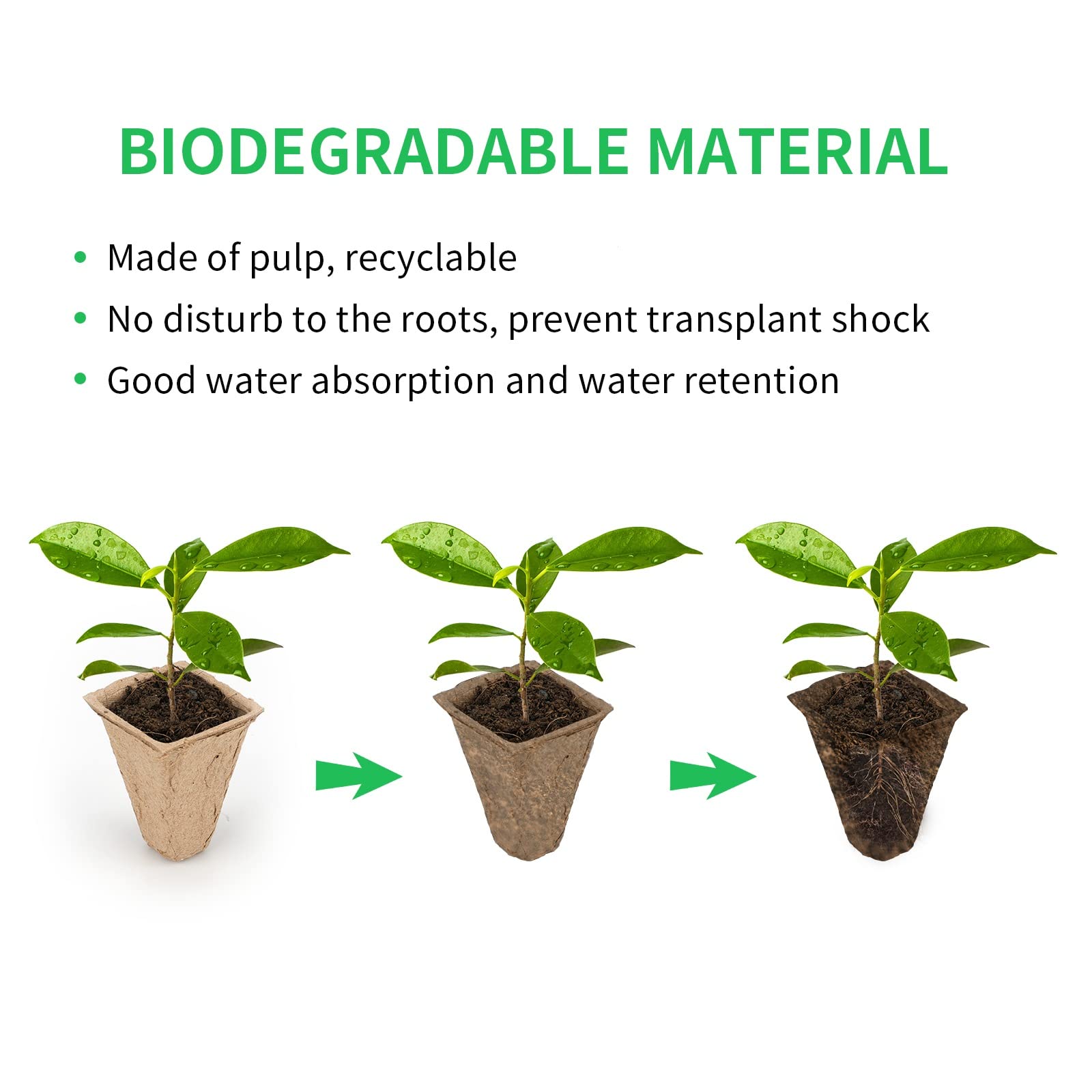 KINGLAKE 10 Pack 120 Cells Seed Starter Peat Pots,Seed Starter Trays,Square Germination Trays,Seed Starter Kit with Plant Labels for Starter Seeds - Image 4