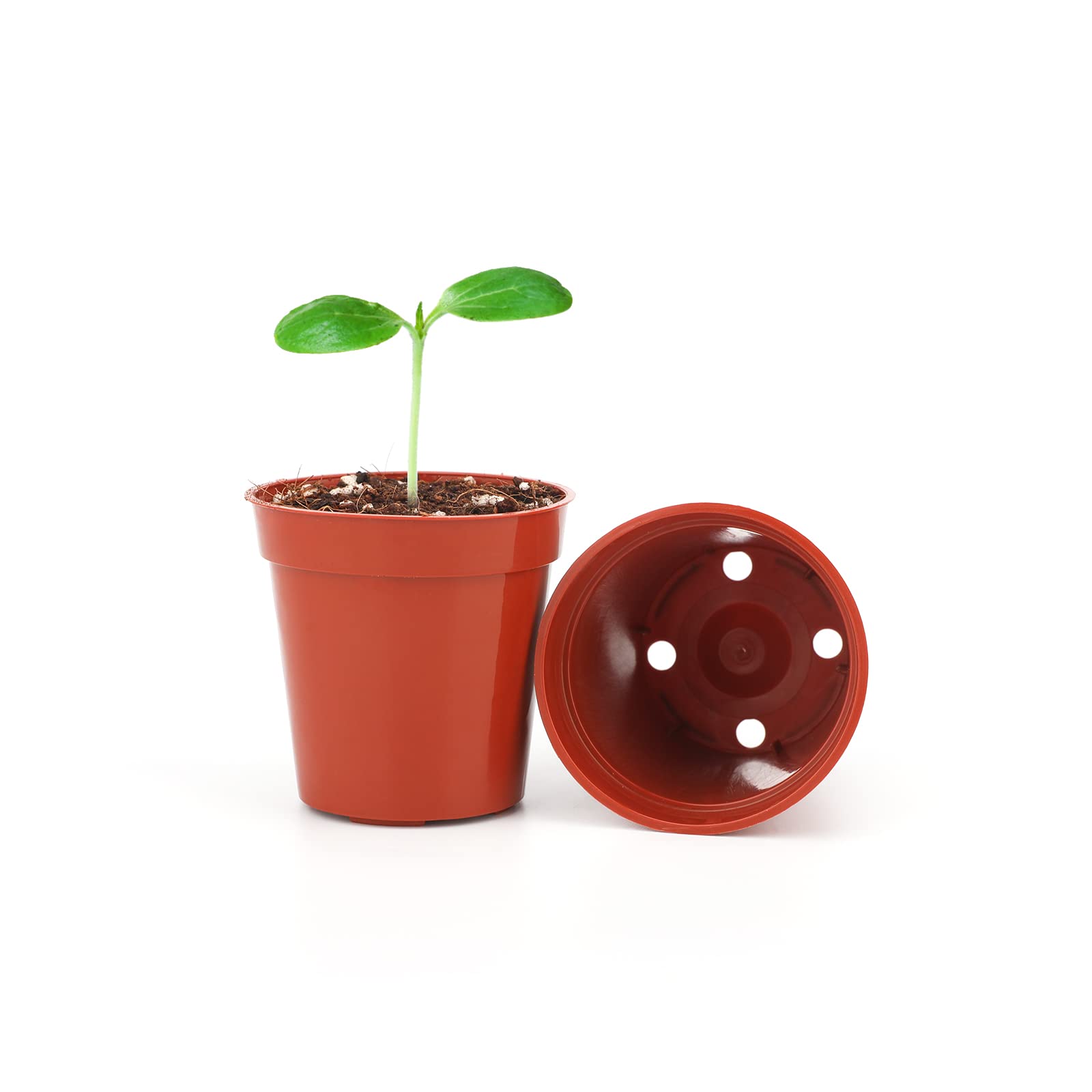 KINGLAKE 100 Pcs 2 Inch Plastic Plant Nursery Pots,Seed and Cutting Pots for Succulent Plants - Image 3