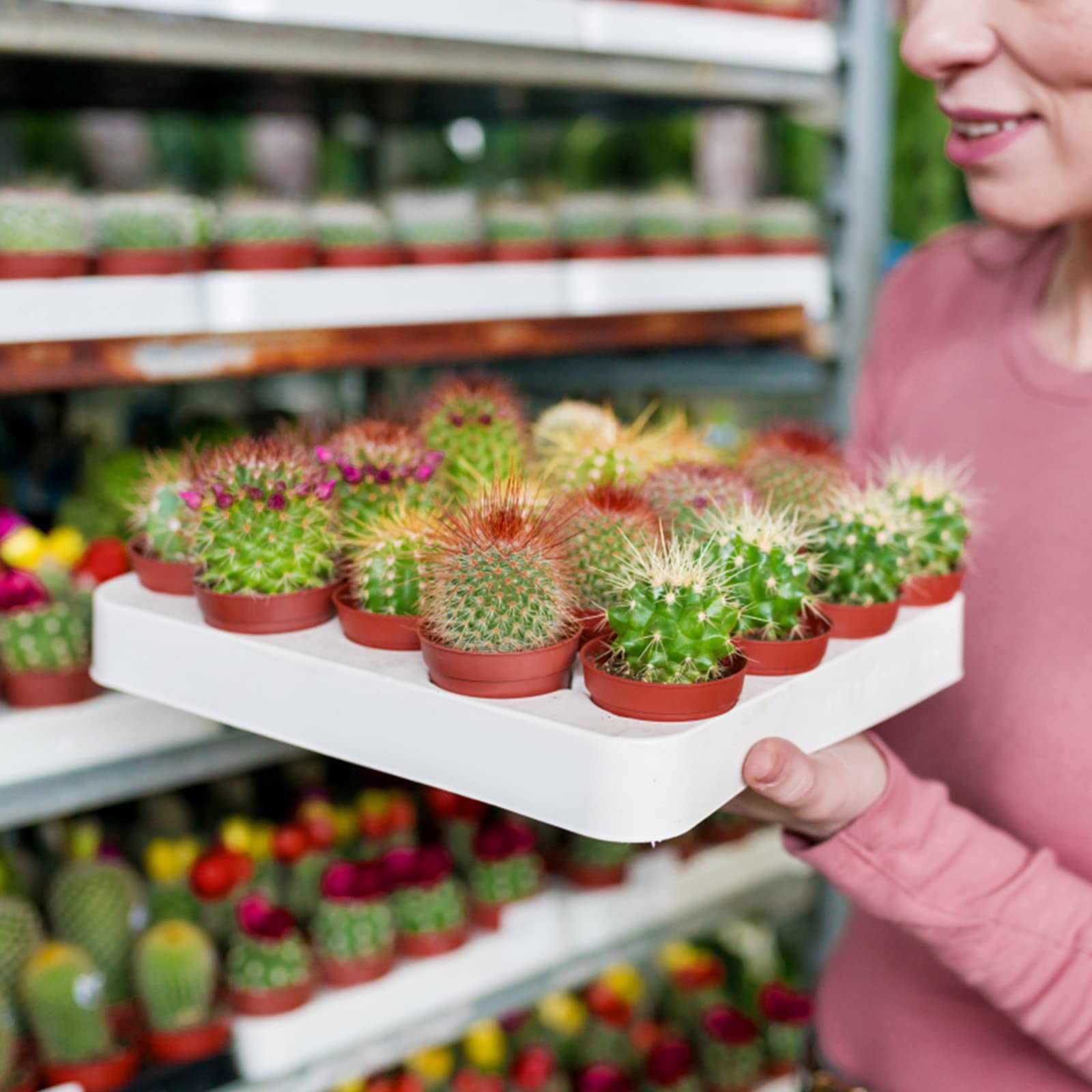 KINGLAKE 100 Pcs 2 Inch Plastic Plant Nursery Pots,Seed and Cutting Pots for Succulent Plants - Image 6