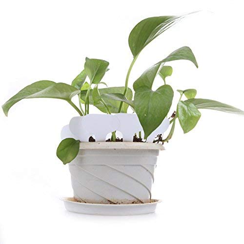 KINGLAKE 100 Pcs White Plastic Plant Labels Waterproof T-Type Plant Tag Nursery Flower Garden Labels - Image 5