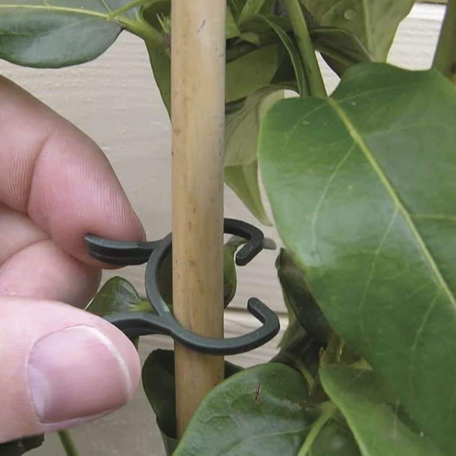 KINGLAKE 150 Pcs Plant Garden Clips,Flower,Vine & Vegetable Plant Support Clips Great for Holding Plant Stems - Image 3