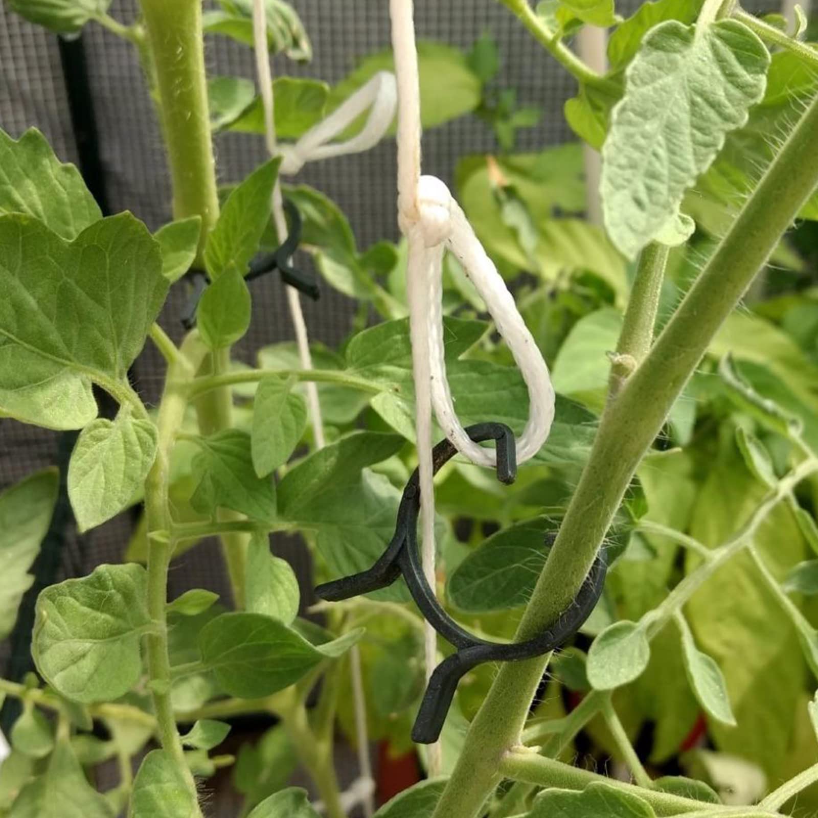 KINGLAKE 150 Pcs Plant Garden Clips,Flower,Vine & Vegetable Plant Support Clips Great for Holding Plant Stems - Image 5