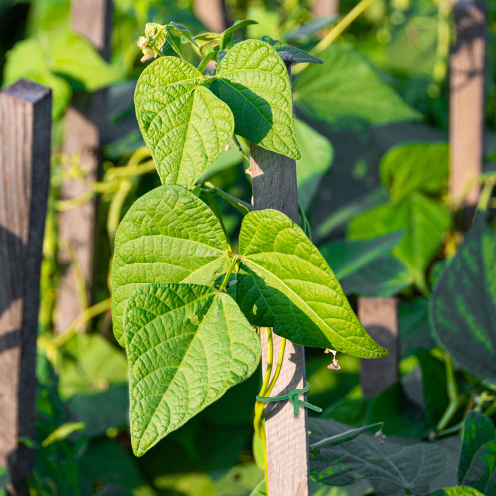 KINGLAKE 3.5mm Garden Flexible Wire Tie Soft Plant Twist Tie,65.6' Soft Plant Wire for Plants Green - Image 7