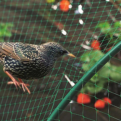 KINGLAKE 33 Ft x 13 Ft Green Garden Bird Netting,Green Garden Plant Netting,Garden Plant Fruits Fencing Mesh - Image 6