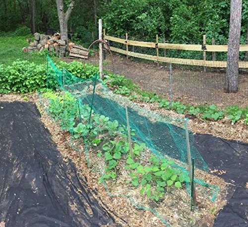KINGLAKE 33 Ft x 13 Ft Green Garden Bird Netting,Green Garden Plant Netting,Garden Plant Fruits Fencing Mesh - Image 7
