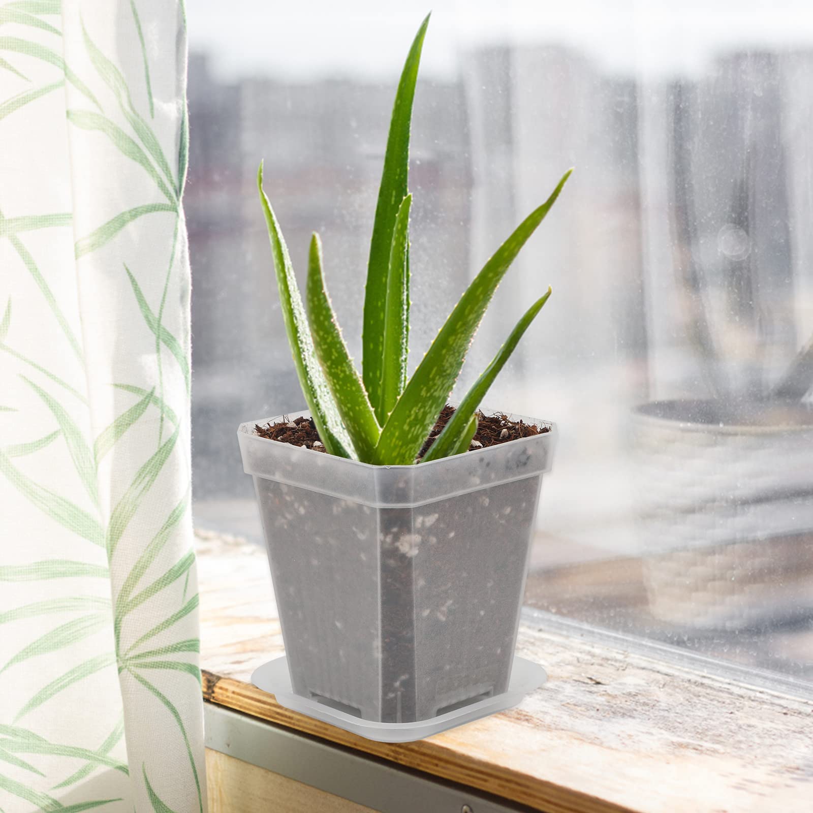 KINGLAKE 3inch Nursery Pots,24 Pcs Thick Plastic Square Planter Pots,Flower Plant Container Seed Starting Transplanting Pots (Clear) - Image 6