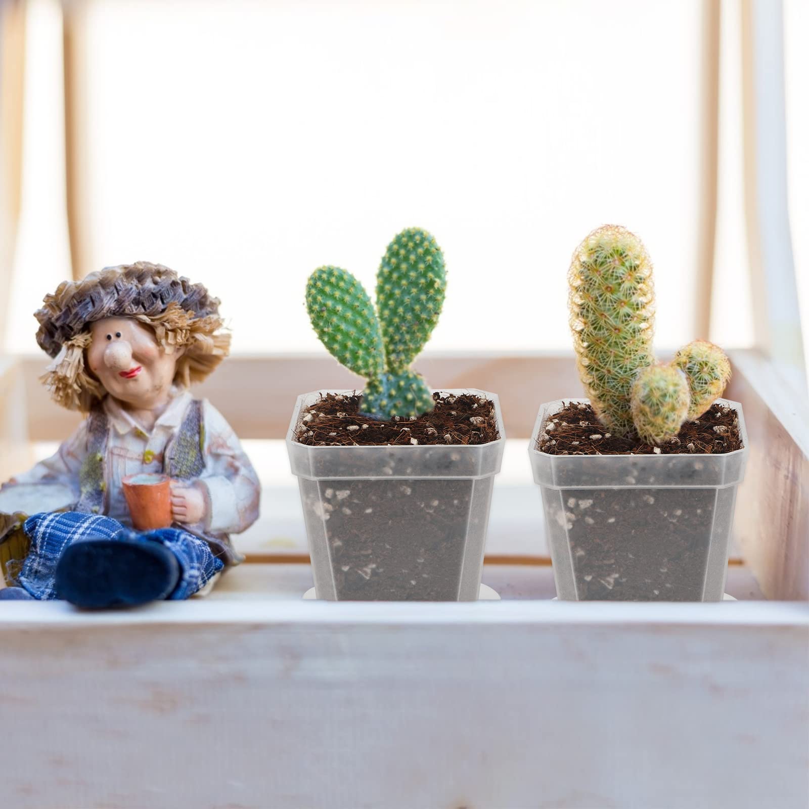 KINGLAKE 3inch Nursery Pots,24 Pcs Thick Plastic Square Planter Pots,Flower Plant Container Seed Starting Transplanting Pots (Clear) - Image 7