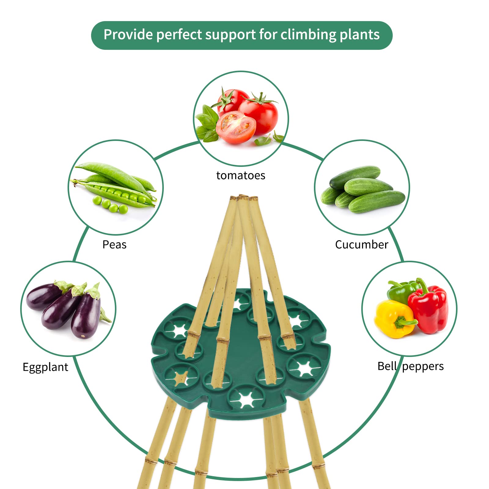 KINGLAKE 6 Pcs Bamboo Cane Holder Plastic Plant Cane Support Caps Holders for Climbing Plants Sweet Peas Beans Green - Image 3