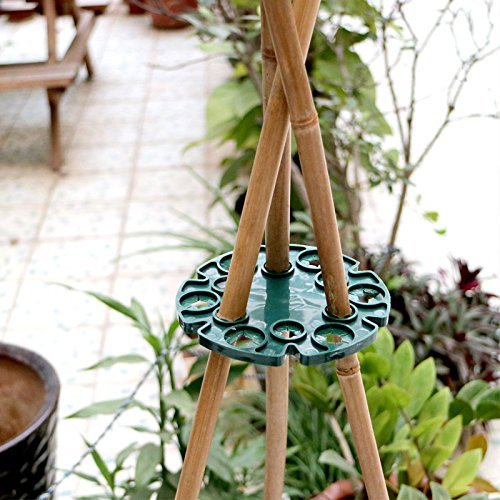 KINGLAKE 6 Pcs Bamboo Cane Holder Plastic Plant Cane Support Caps Holders for Climbing Plants Sweet Peas Beans Green - Image 5