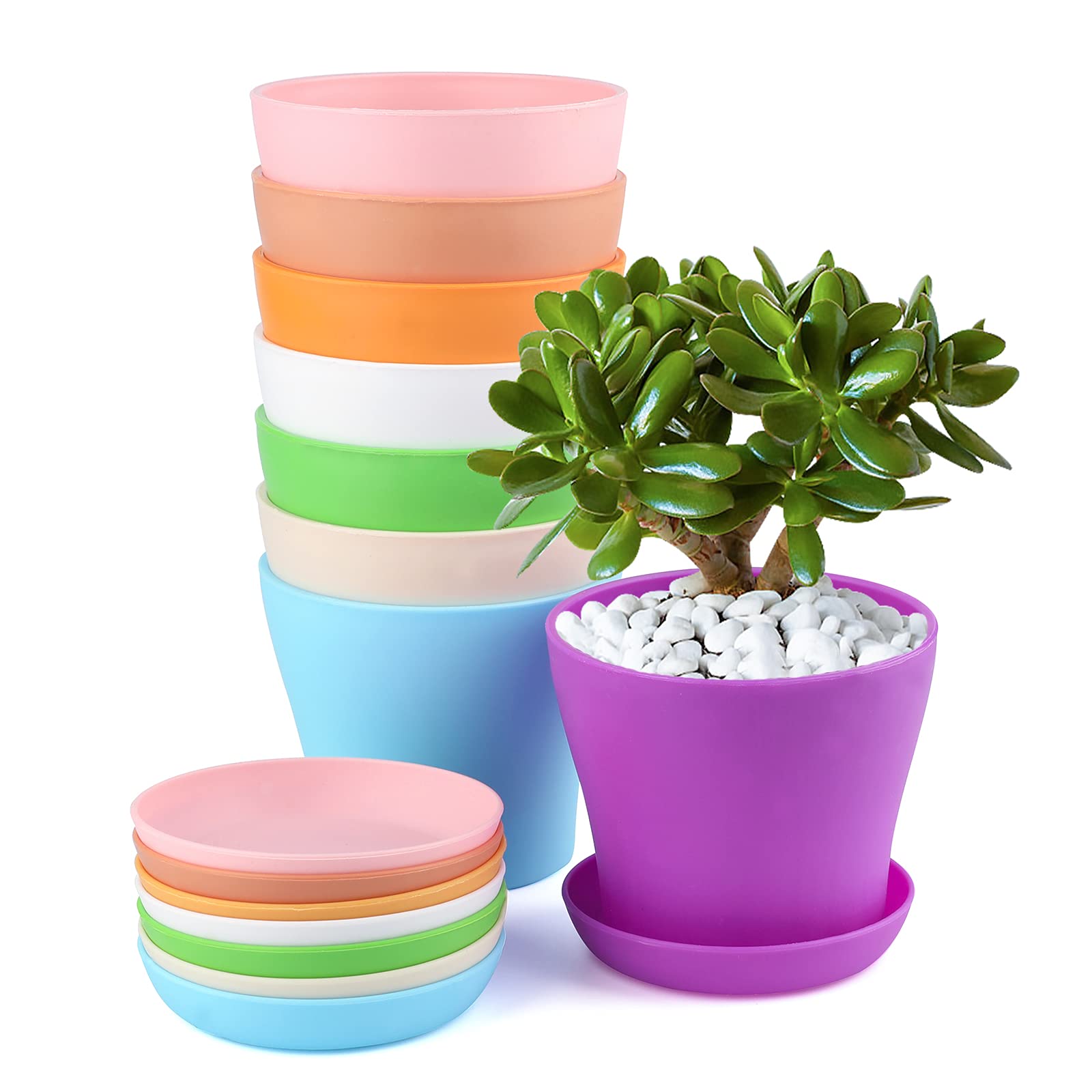 Plant Pots
