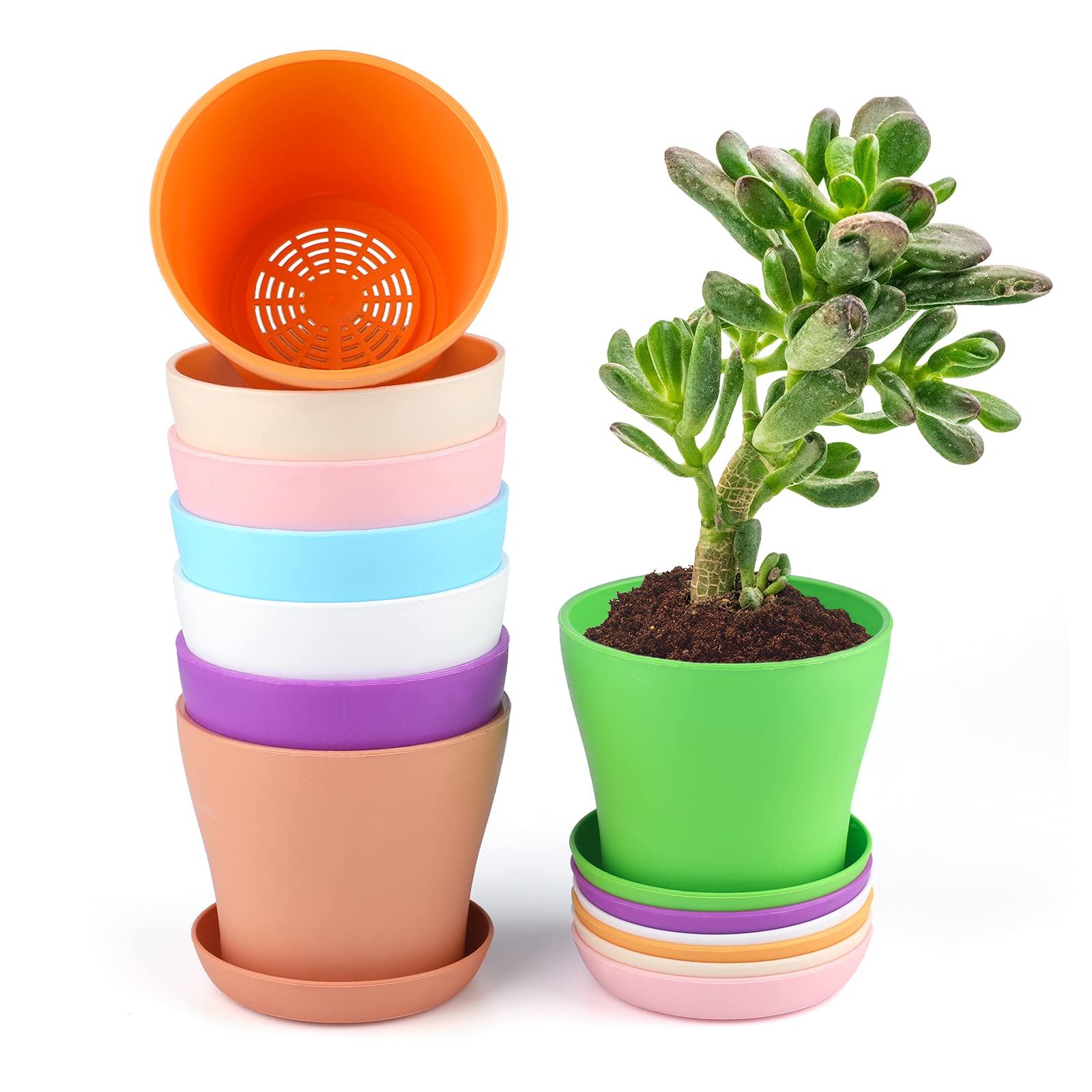 KINGLAKE 8 Pcs 4" Plastic Plant Flower Seedlings Nursery Pot/Pots Planter Colorful Flower Plant Container Seed Starting Pots with Pallet and Drainage Holes for Home Garden Flowers Plants,8 Colors - Image 3