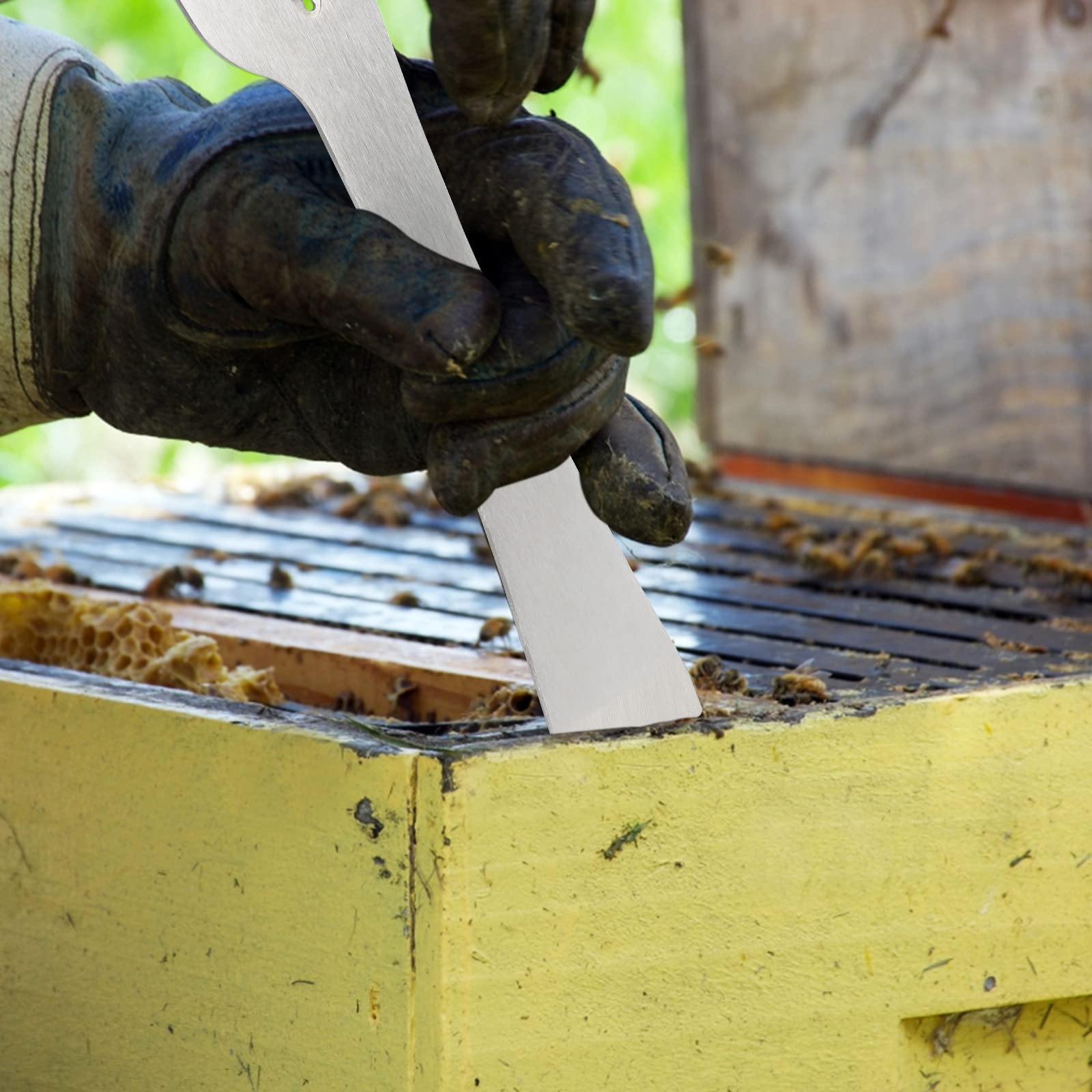 KINGLAKE Beekeepers Polished Stainless Steel Hive Scraper Tool Beekeeping Equipment Tool Silver - Image 6