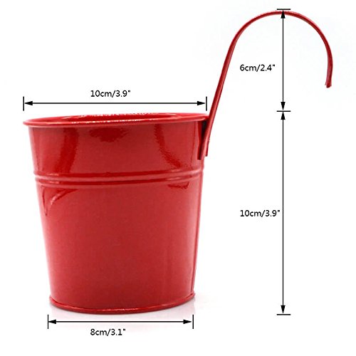 KINGLAKE Flower Pots,10 Pcs Metal Iron Hanging Flower Plant Pots Balcony Garden Plant Planter Baskets Fence Bucket Pot 4'' Flower Holders with Detachable Hook - Image 4
