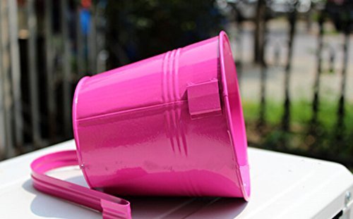 KINGLAKE Flower Pots,10 Pcs Metal Iron Hanging Flower Plant Pots Balcony Garden Plant Planter Baskets Fence Bucket Pot 4'' Flower Holders with Detachable Hook - Image 6