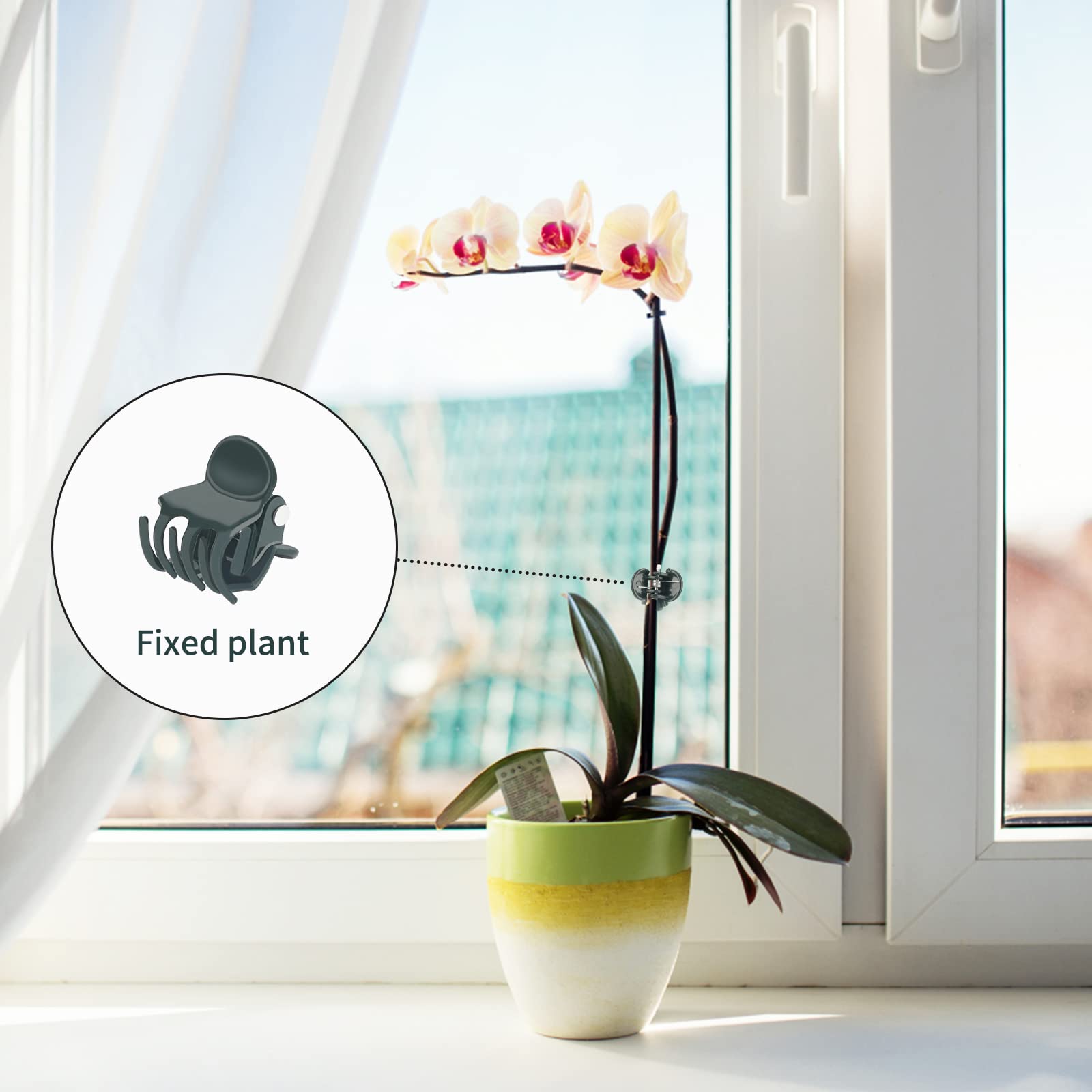 KINGLAKE Orchid & Plant Support Clips - 100 Pcs Dark Green Garden Cymbidium Clips to Keep Stems & Vines Upright - Image 5