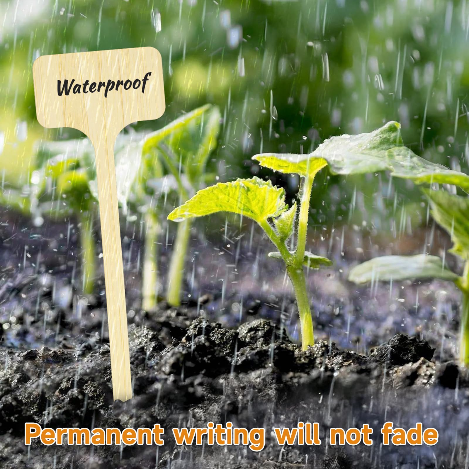 KINGLAKE Plant Labels,Bamboo Plant Labels,7 Inch Tall Plant Tags Labels,30 Pcs Nursery Garden Labels Plant Markers for Outdoor Waterproof Plant Name Tags Garden Tags with Marking Pen - Image 5