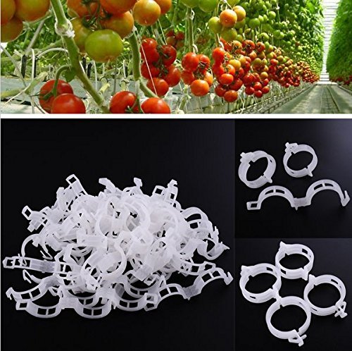 KINGLAKE Plant Support Garden Clips,Tomato Vine Clips,Tomato Trellis Clips 200 Pcs for Vine Vegetables Tomato to Grow Upright and Makes Plants Healthier - Image 4