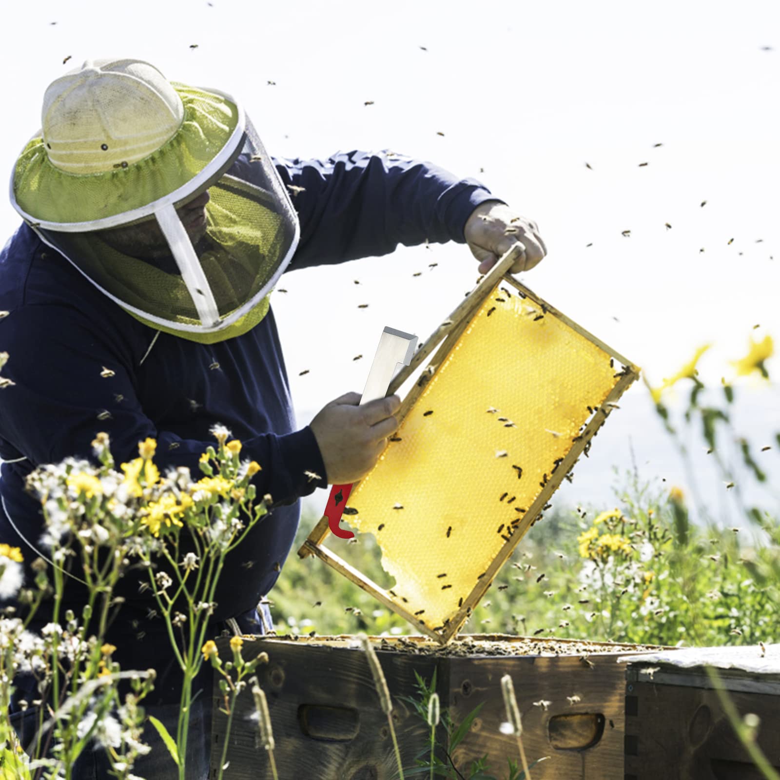 KINGLAKE Steel J Hook Bee Hive Tool Frame Lifter and Scraper,Beekeeping Equipment, 10-1/2-Inch - Image 5